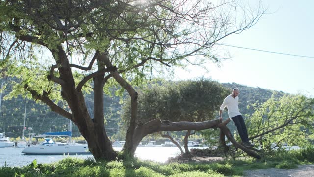 Middle-aged Man Climbing a Tree Stump