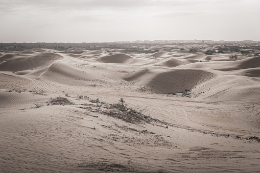 Badain Jaran Desert in Inner Mongolia, China, the third largest desert, copy space for text