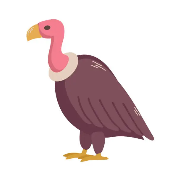 Vector illustration of Vulture icon clipart avatar logotype isolated vector illustration