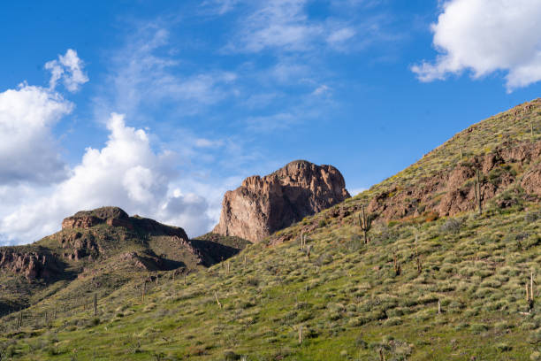 istock Elephant Butte In The Superstition Wilderness 2113593133