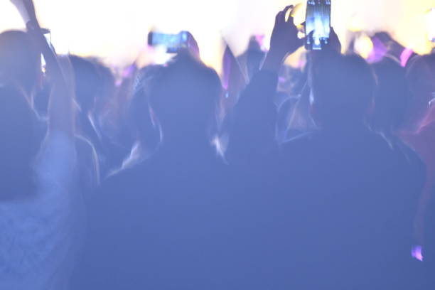 Crazy audience crowd at a popular music concert