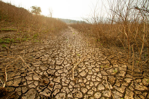 Climate change turns rivers dry, destroying biodiversity