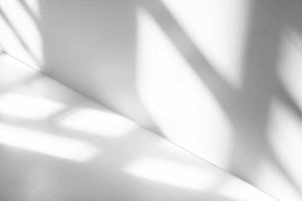 istock Wall interior background, studio and backdrops show products.with shadow from window color white . background for text insertion and presentation product 2113776006
