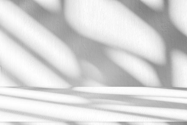 istock Wall interior background, studio and backdrops show products.with shadow from window color white . background for text insertion and presentation product 2113776009