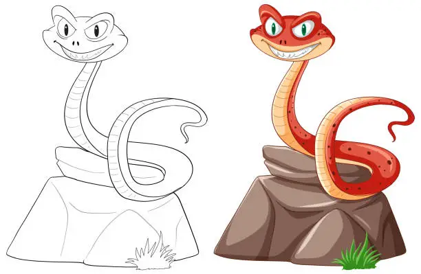 Vector illustration of Two smiling snakes illustrated on separate stones