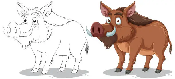 Vector illustration of Two stages of a boar illustration, sketch to color