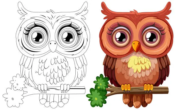 Vector illustration of Vector illustration of an owl, colored and line art