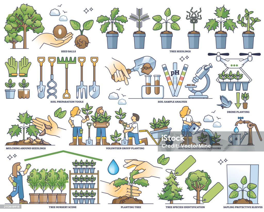 Tree Planting Sample Reforestation Preparation And Tree Planting Work Outline Collection Set ...