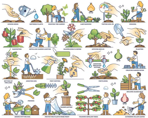 Vector illustration of Garden activities and work tasks in agriculture outline collection set