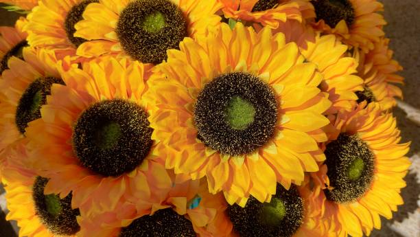istock Close-up of artificial sunflower  with sunlight. 2113822023
