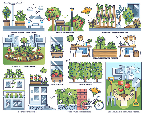 Urban edible landscaping and sustainable community gardens outline collection set. Labeled elements with local organic food growth in window boxes, rooftop gardens and green walls vector illustration