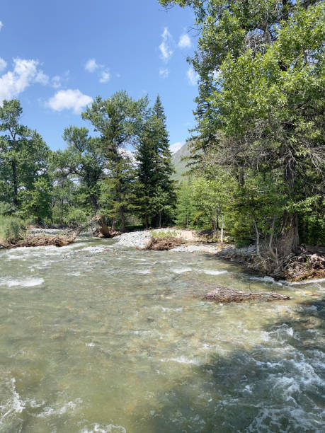 istock A mountain river on a sunny summer day. The Altai Mountains. 2113850815