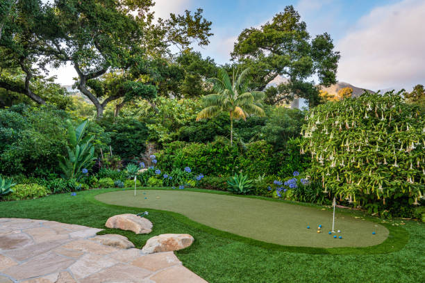 istock a backyard golf putting green in front of some trees and grass 2113855953