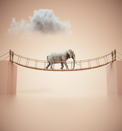 Elephant walks on rope above a gap between two cubes. Risk taking and destination concept. This is a 3d render illustration