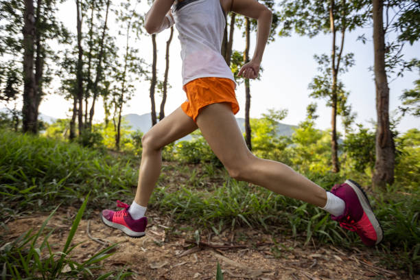 istock Trail runner running in summer forest trail 2113884099