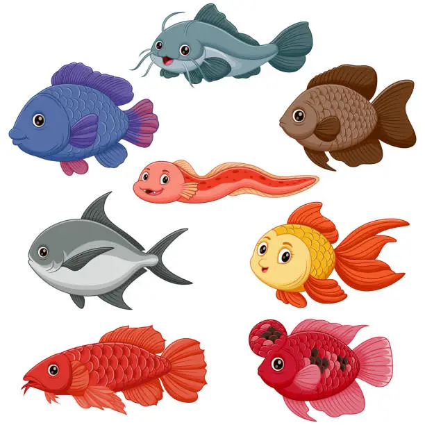 Vector illustration of Freshwater Fish Set Cartoon. Vector Illustration of Different Types of Freshwater Fish