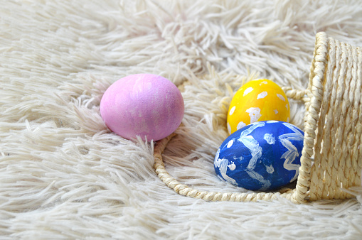 Colorful hand painted Yellow, blue and pink ornate Easter eggs in a wicker basket spilling out on bright off white cream colored fur carpet or furry rug background for Easter holidays celebration with copy space. Apt for use as poster, greeting cards, wallpapers and backdrops.