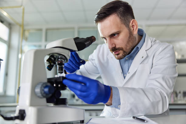 istock Young male scientist working with medical sample on a microscope in laboratory. 2113981264