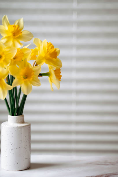 istock daffodils in a vase on the table, screensaver with space for text 2113989094