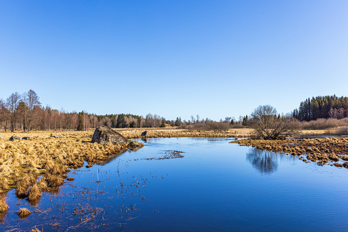 River at a wetland in spring