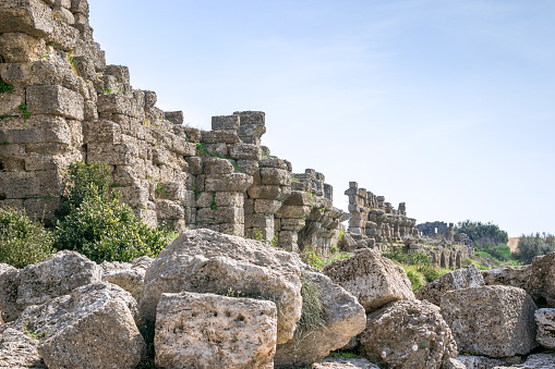 Explore the ancient ruins of Ephesus, a prominent Roman city. Be captivated by the Temple of Artemis remains, a must-see for history enthusiasts. Delve into the mysteries of this archaeological site.