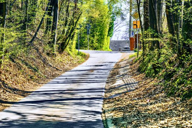 istock Beautiful rural road among dense trees. 2114092632