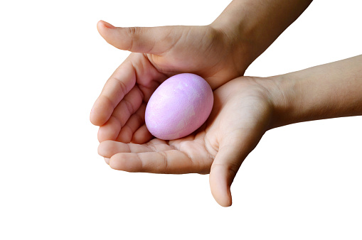 Cut out of one single pastel pink Easter egg  held in both hands, hands holding it with care and affection love isolated over white colored background for Easter holidays celebration with ample copy space. Apt for Easter related backdrops, posters, wallpapers and greeting cards.