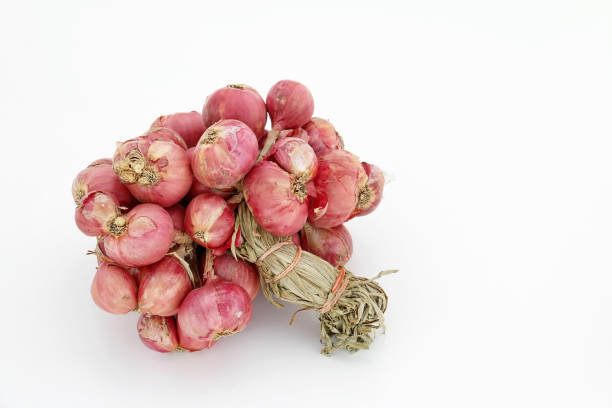 Detailed macro of fresh spring onions bound with natural twine. The focus on texture and freshness highlights anti-inflammatory foods and their role in supporting heart health and immunity through nutrient-rich simplicity. Copy space for text, high angle view - Food and drink, fitness and wellness