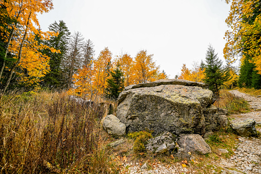 Landscape in autumn at Feldberg in the Black Forest. Feldbergsteig hiking trail. Nature in the Breisgau-Hochschwarzwald district in Baden-Württemberg.