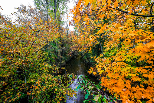 Autumnal landscape by a river.
