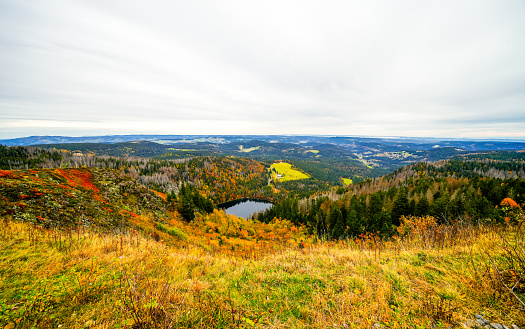Autumnal landscape on the Feldberg in the Black Forest with a view of the Feldsee and the surrounding nature with forests and hills.