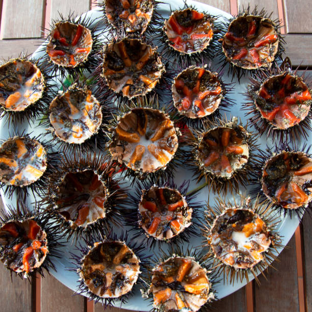 istock Opened sea urchins ready to be eaten 2114133776