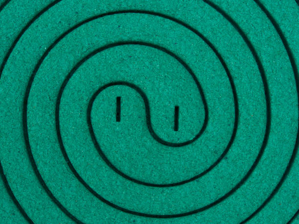Mosquito coil close-up stock photo