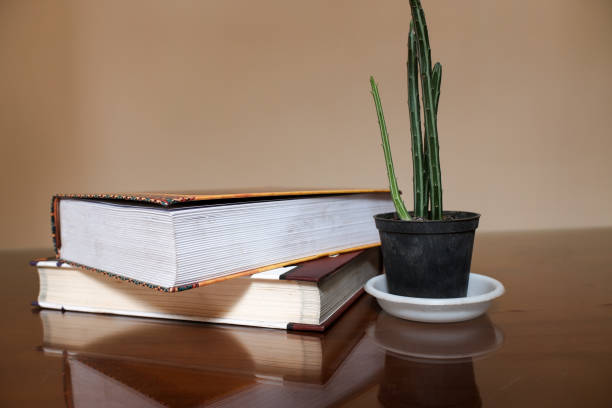 istock Two books with cactus plants on a glass table 2114161326