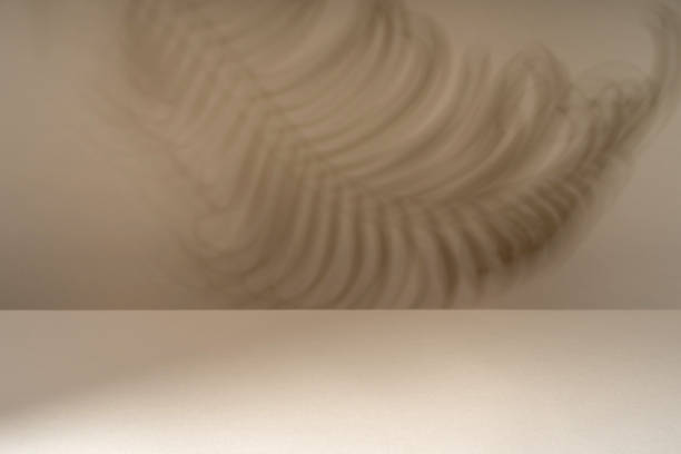 Tropical leaf shadow blank background composition for product presentation. The background is beige. Beautiful trendy color background
