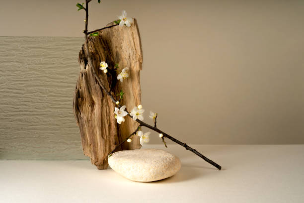 istock Podium for exhibitions and product presentations, material stone, spring flowers. Beautiful beige background made from natural materials. Abstract spring nature scene with composition. 2114166084