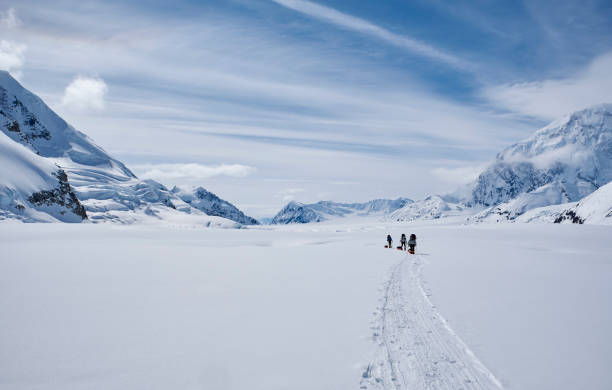 istock Mountain climbers with backpack and pulka on the glacier during their attempt to climb Denali in Alaska. 2114193189