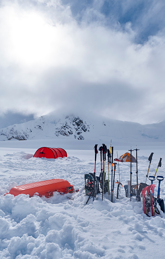Tents and sharps in camp one on Denali during a sunny day