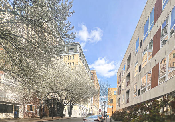 View of Delaware blossoming white flowers alongside market street