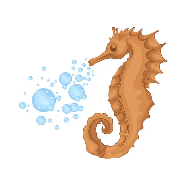 Vector illustration of Seahorse