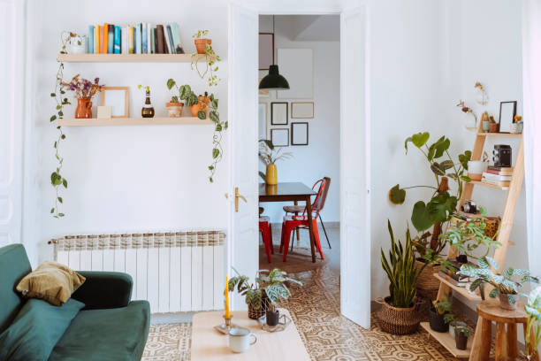 istock Living room interior with different houseplants 2114218178