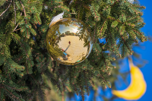 Golden Christmas ball on a green pine tree branch on blue sky background, close up