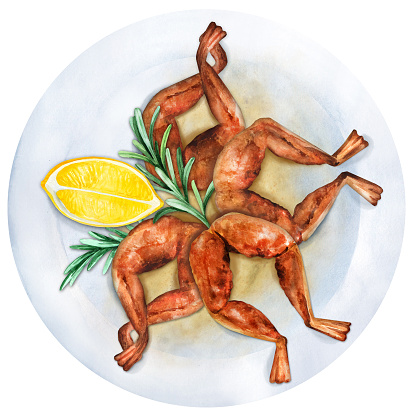 Frog legs with lemon and rosemary on a white plate. Traditional seasonal French food. Watercolor hand drawn illustration. Suitable for menu, cookbook and restaurant. Top view