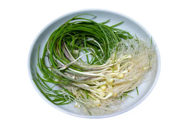 Fresh Wild Chive vegetables in a white salad bowl isolated on white background.