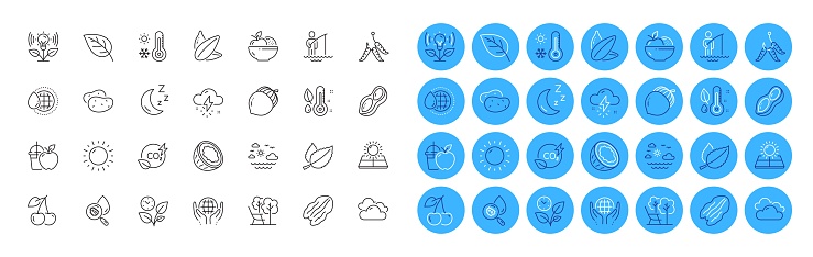 Deckchair, Cherry and Sunflower seed line icons pack. Sunny weather, Incubator, Water analysis web icon. Organic tested, Fruits, World water pictogram. Maggots, Cloudy weather, Co2 gas. Vector