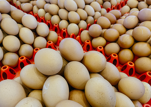 Chicken eggs for sale at mini market.\nChicken eggs produced from laying hens.