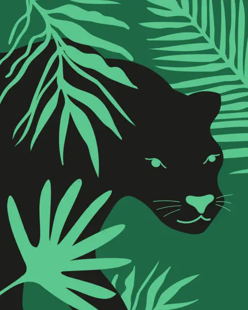 Vector illustration of Panther animal in tropical, plants, palm, leaves hand drawn flat vector illustration. Wildlife, safari and travelling. Drawings for poster, background, cover, print, paper, flyer, card. Cartoon style
