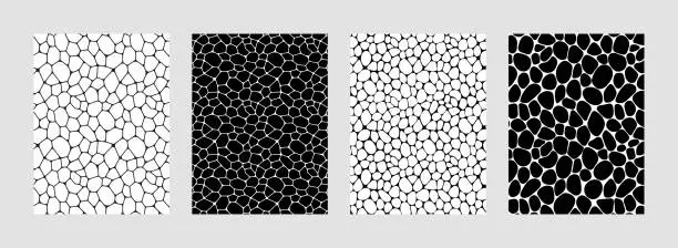Vector illustration of Black and white cells vector backgrounds Voronoi covers set. Irregular geometric tile. template rocks and stones wallpapers collection for web the web and science cards, interior designs.