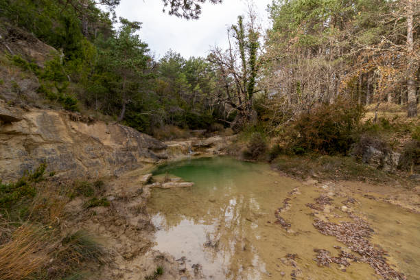 istock A tranquil green pond nestled within a rocky and forested environment, illustrating nature's untouched beauty 2114358722