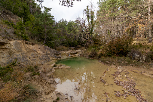 tranquil green pond nestled within a rocky and forested environment, illustrating nature's untouched beauty